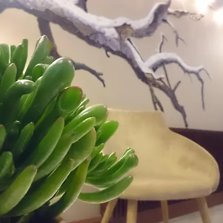 όαση Káto Loutrákion