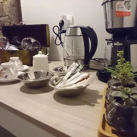 Guest house Oasi