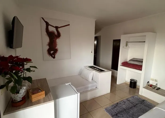 Pensionat Oasi 5*